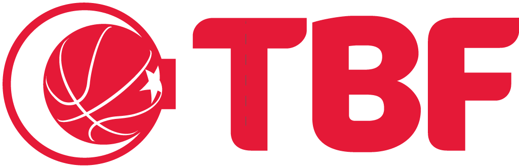 Turkey 0-Pres Alternate Logo iron on heat transfer v2